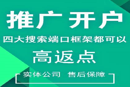 百度竞价排名案例分享：广告投放的技巧与误区